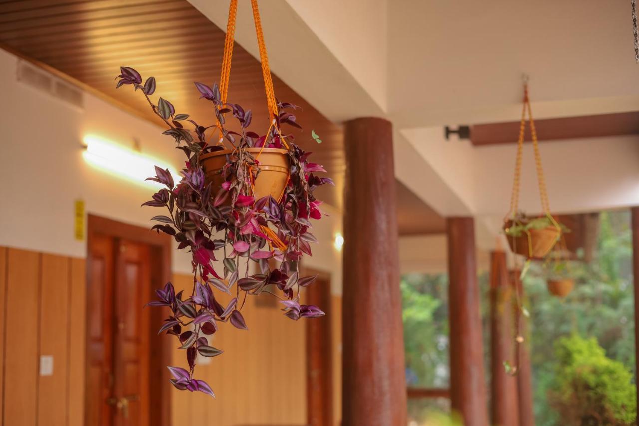 Swastha Plantation Homestay Kaniyāmbetta Zewnętrze zdjęcie