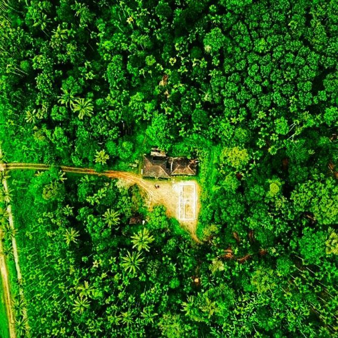 Swastha Plantation Homestay Kaniyāmbetta Zewnętrze zdjęcie
