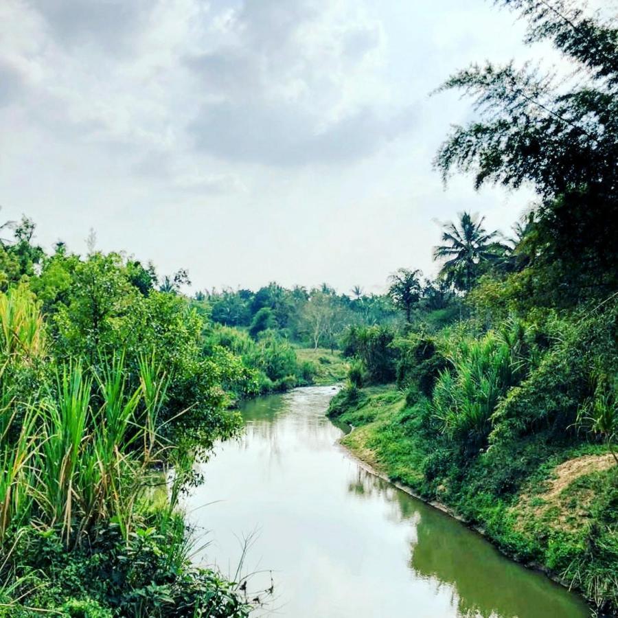 Swastha Plantation Homestay Kaniyāmbetta Zewnętrze zdjęcie
